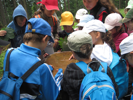 2AZalesnimistrasidylky (23)